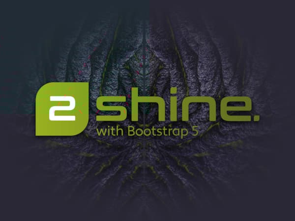 2shine <br>Template Theme